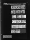 Portrait of a group during a meeting (17 Negatives), February 23-25, 1966 [Sleeve 80, Folder b, Box 39]